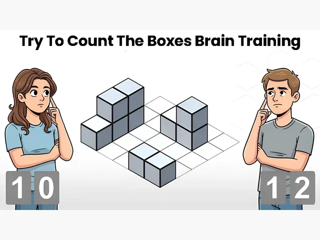 Try To Count The Boxes Brain Training