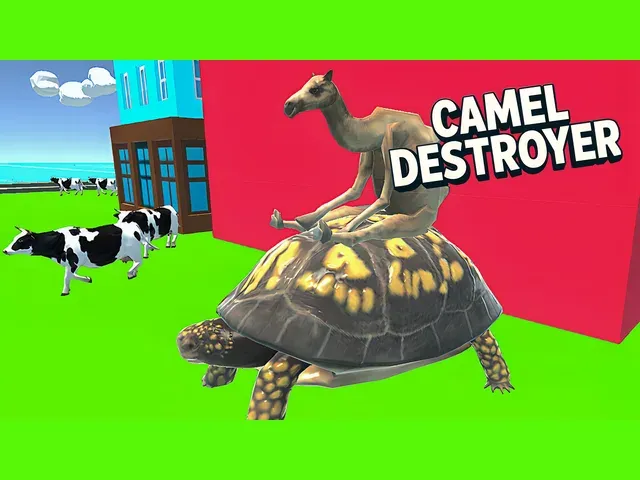 Camel Destroyer